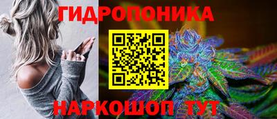 гидра Ипатово