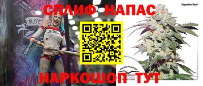 PSILOCYBIN Ирбит