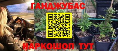 PSILOCYBIN Ирбит
