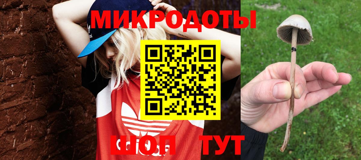 Галлюциногенные грибы ЛСД Лениногорск